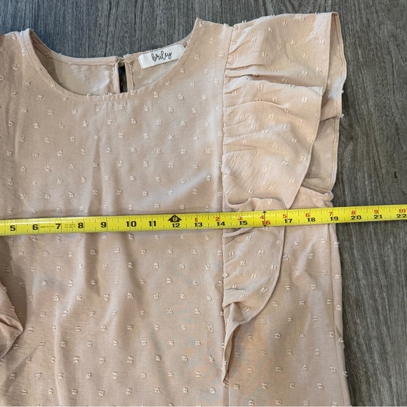 Briley Swiss Dot Top NWOT - Picture 10 of 13